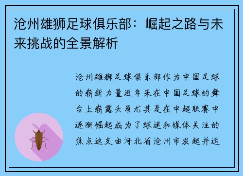 沧州雄狮足球俱乐部：崛起之路与未来挑战的全景解析
