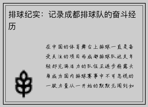 排球纪实：记录成都排球队的奋斗经历