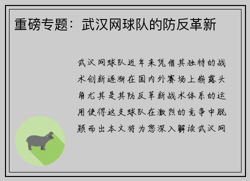 重磅专题：武汉网球队的防反革新