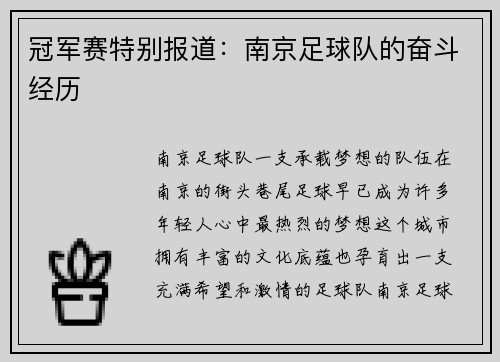 冠军赛特别报道：南京足球队的奋斗经历