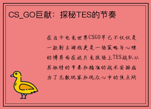 CS_GO巨献：探秘TES的节奏