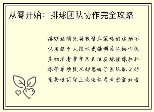 从零开始：排球团队协作完全攻略